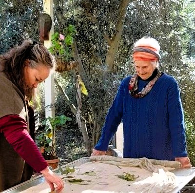 shroud making - merino wool dyed with leaves from eucalypt cinderea, eucalypt iron bark and casuarina (sheaok)