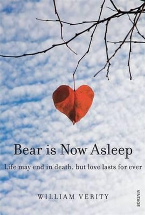 Bear is now asleep - book cover