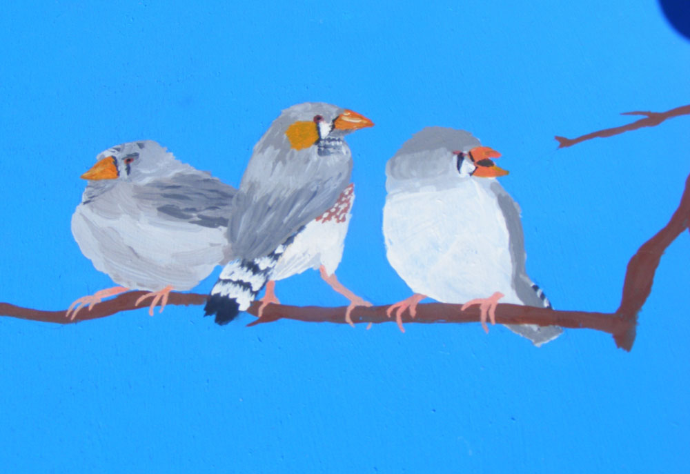 Zebra finches painted on eco coffin lid