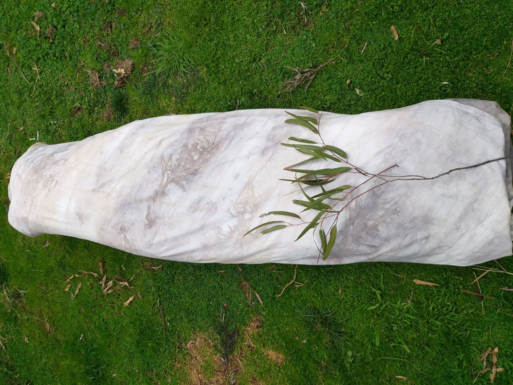 The finished shroud made from family heirloom sheets and patterned with natural dyes from native lemon scented gum leaves and lemon scented grasses